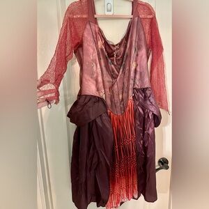 Hocus Pocus Sanderson sister Halloween costume, Disney, adult 2XL